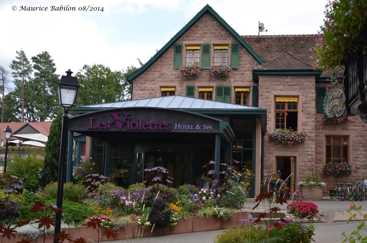 Hotel **** SPA Les Violettes a Thierenbach - Soultz