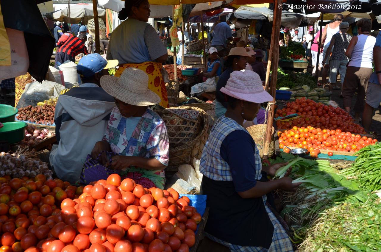 Visite et achats au marché de Fianarantsoa