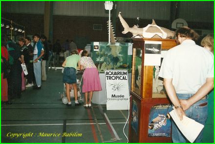 Exposition Exotic 1989 & 1990 à Lutterbach