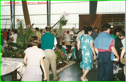 Exposition Exotic 1989 & 1990 au COSEC de Lutterbach