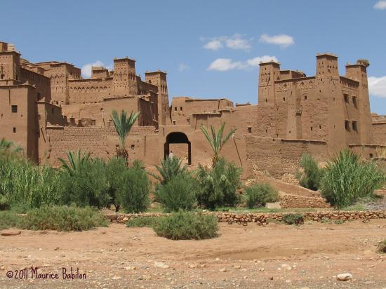 Sud Marocain 2010